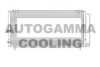 AUTOGAMMA 107514 Condenser, air conditioning